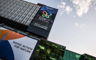 BIO COP17: UN deliberates in Armenia to Lock Up 30% of Earth’s Land and Water