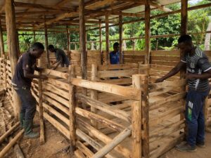 CFACT’s stewardship program fosters truly “sustainable” livelihoods in Africa